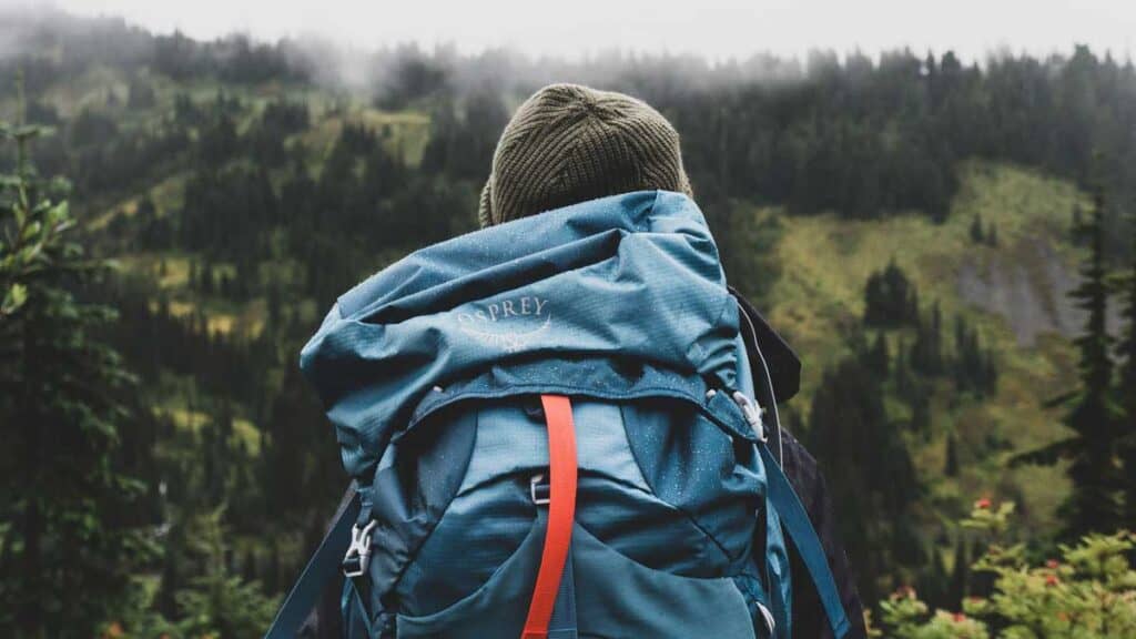 Back view of a hiker with a backpack